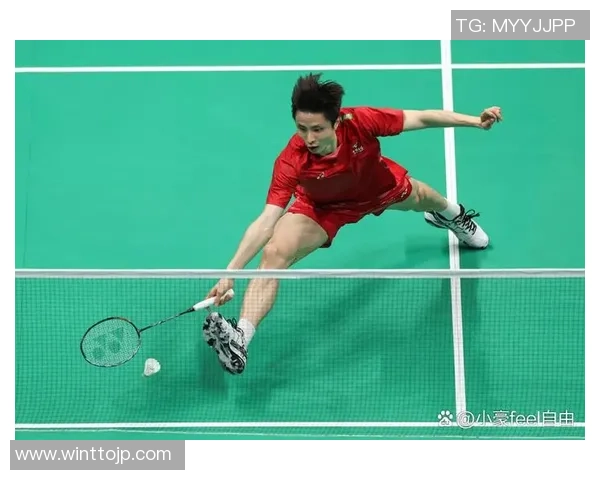 深圳羽毛球队的奋斗与荣耀:一段不平凡的羽毛球纪实之旅